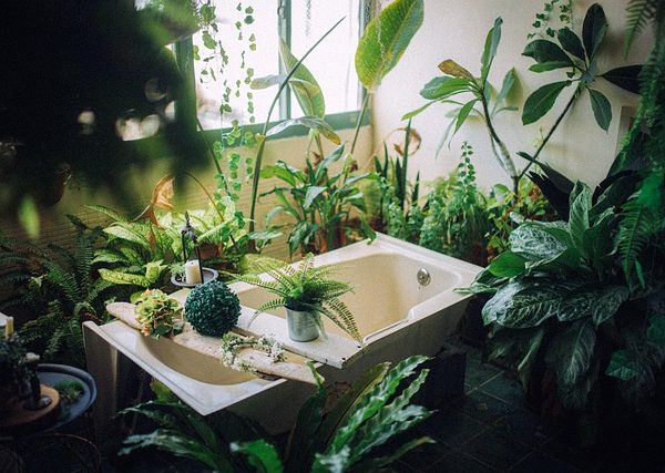 Sustainable Home Makeovers: How to Renovate and Recycle Like a Pro