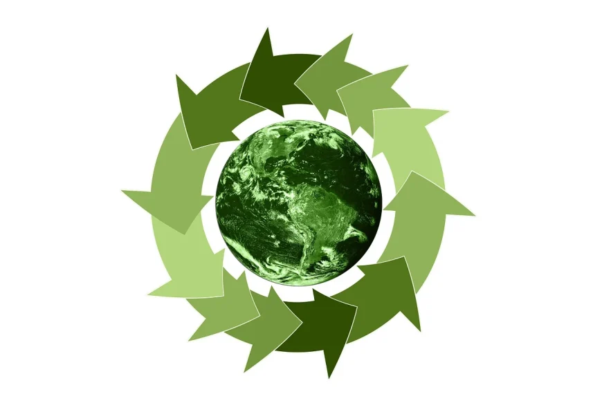 Recycling Meets Digital: How eCommerce Website Development Supports Sustainable&hellip;
