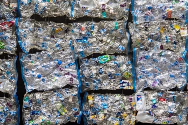 How Can Your Business Sustainably Manage Waste?