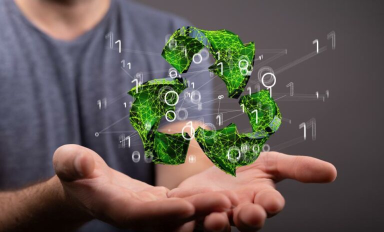 The Role of IT Recycling in Sustainable Development.